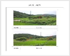  2025Ÿ��51329 ���� ���ȱ� ������ ���ϸ� 113      ����(��)���