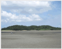  2025Ÿ��51366 ���� �žȱ� ������ ���渮 ��128-1      ����(�Ӿ�)���