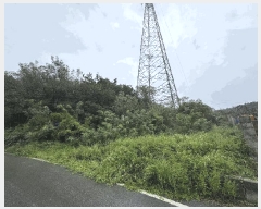  2025Ÿ��51411 ���� �žȱ� ������ ��ǳ�� 996      ����(��1)���