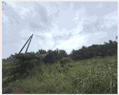  2025Ÿ��51411 ���� �žȱ� ������ ��ǳ�� 996      ����(��1)���