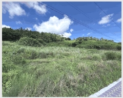  2025Ÿ��51411 ���� �žȱ� ������ ��ǳ�� 996      ����(��1)���