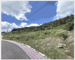  2025Ÿ��51411 ���� �žȱ� ������ ��ǳ�� 996      ����(��1)���