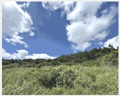  2025Ÿ��51411 ���� �žȱ� ������ ��ǳ�� 996      ����(��1)���