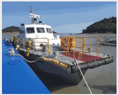  2025Ÿ51456 泲 â 걸 ȣ       ڰ