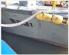  2025Ÿ51456 泲 â 걸 ȣ       ڰ