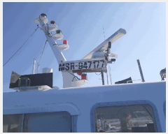  2025Ÿ51456 泲 â 걸 ȣ       ڰ