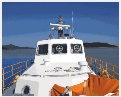  2025Ÿ51456 泲 â 걸 ȣ       ڰ