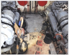  2025Ÿ51456 泲 â 걸 ȣ       ڰ