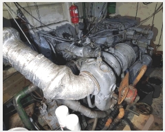  2025Ÿ51456 泲 â 걸 ȣ       ڰ