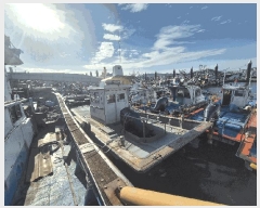  2025Ÿ��51463 ����          ���ڰ��