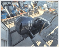  2025Ÿ��51463 ����          ���ڰ��