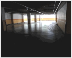  2025Ÿ��51483  ����Ʈ���