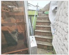  2025Ÿ��51497 ���� ������ ��絿 970-463       ���ð��