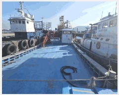  2025Ÿ51524  س         ڰ