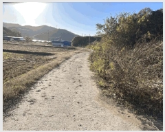  2025Ÿ��51645 ���� ���ȱ� ��ź�� ������ 491      ����(��1)���