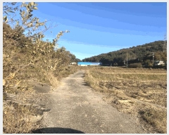  2025Ÿ��51645 ���� ���ȱ� ��ź�� ������ 491      ����(��1)���