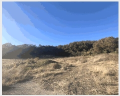  2025Ÿ��51645 ���� ���ȱ� ��ź�� ������ 491      ����(��1)���