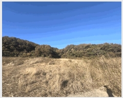  2025Ÿ��51645 ���� ���ȱ� ��ź�� ������ 491      ����(��1)���