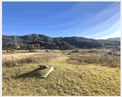  2025Ÿ��51645 ���� ���ȱ� ��ź�� ������ 491      ����(��1)���