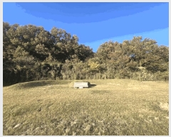  2025Ÿ��51645 ���� ���ȱ� ��ź�� ������ 491      ����(��1)���