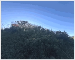  2025Ÿ��51645 ���� ���ȱ� ��ź�� ������ 491      ����(��1)���