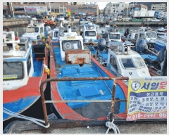  2025Ÿ��51659  ���ڰ��