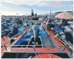  2025Ÿ��51659  ���ڰ��