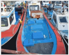  2025Ÿ��51659  ���ڰ��