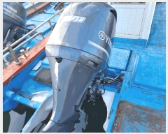  2025Ÿ��51659  ���ڰ��