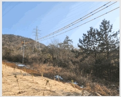  2025Ÿ��51765 ���� �žȱ� ������ ��ȭ�� ��320      ����(�Ӿ�)���