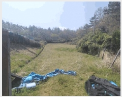  2025Ÿ338  ȱ Ϸ ű⸮ 723-3      ()