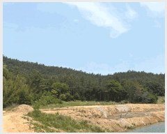  2025Ÿ364  žȱ  õ 44      (Ӿ)