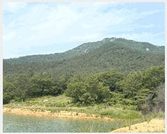  2025Ÿ364  žȱ  õ 44      (Ӿ)