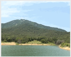  2025Ÿ364  žȱ  õ 44      (Ӿ)