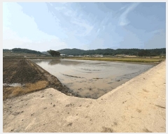  2025Ÿ387   ٸ  480-10      ()