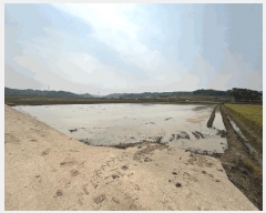  2025Ÿ387   ٸ  480-10      ()