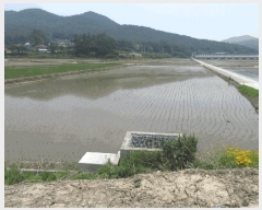  2025Ÿ393  ȱ û û踮 825-10      ()