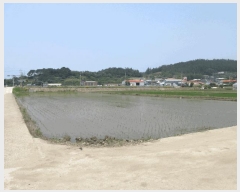  2025Ÿ393  ȱ û û踮 825-10      ()