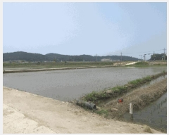  2025Ÿ393  ȱ û û踮 825-10      ()