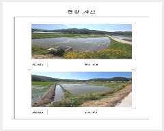  2025Ÿ393  ȱ û û踮 825-10      ()