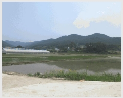  2025Ÿ393  ȱ û û踮 825-10      ()