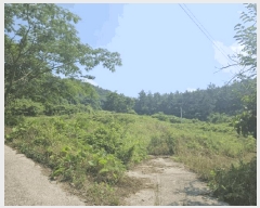  2025Ÿ395  ȱ  ܹݸ 330      (1)