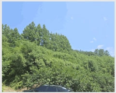  2025Ÿ395  ȱ  ܹݸ 330      (1)