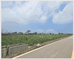  2025Ÿ395  ȱ  ܹݸ 330      (1)