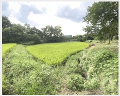  2025Ÿ��472  ����