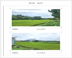  2025Ÿ��472  ����