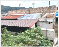  2025Ÿ��502  ���ð��