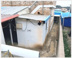  2025Ÿ��502  ���ð��