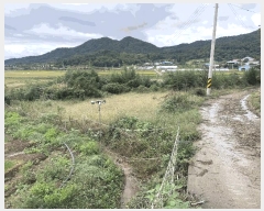  2025Ÿ��521 ���� ���� �뵿�� ���۸� 560-2      ����(��1)���