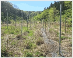  2025Ÿ51033     182      (Ӿ)